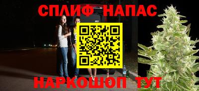 МДПВ Донской