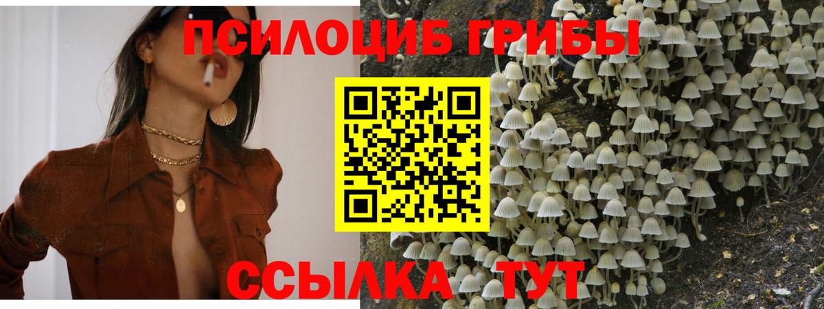 Сатка  Галлюциногенные грибы Magic Shrooms  Вход с VPN  Галлюциногенные грибы ЛСД 